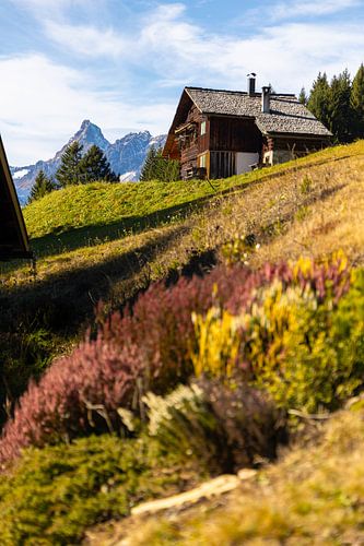 Mountain hut in the Montafon