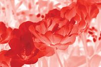 Floral Diffusion