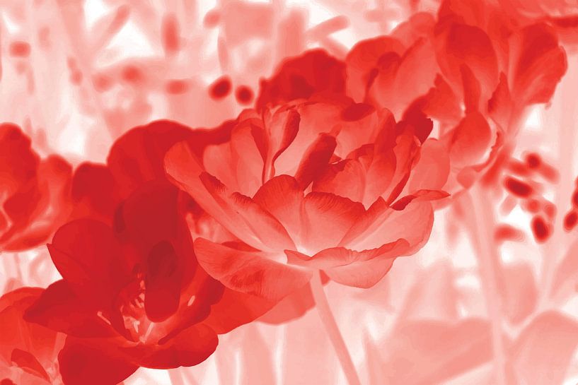 Floral Diffusion by GeeeDeeeBeee