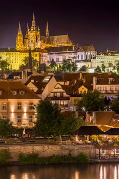 Praagse Burcht en Sint-Vituskathedraal bij nacht