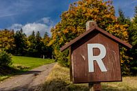 Herfstwandeling door het Thüringer Woud