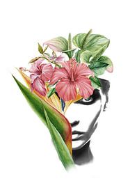 Collage de portraits d'hibiscus