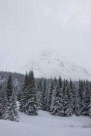 Lermoos Österreich von Jeroen Meeuwsen