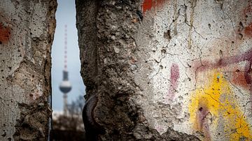 Berlin Die Mauer und der Alexanderplatz von Lex van Lieshout