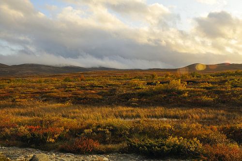 Dovre Nationaal Park