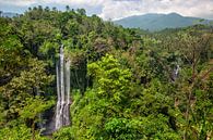 Sekumpul Wasserfälle in Bali, IndonesienSekumpul Wasserfälle in Bali, Indonesien von Tjeerd Kruse Miniaturansicht