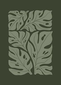 Monstera Leaves