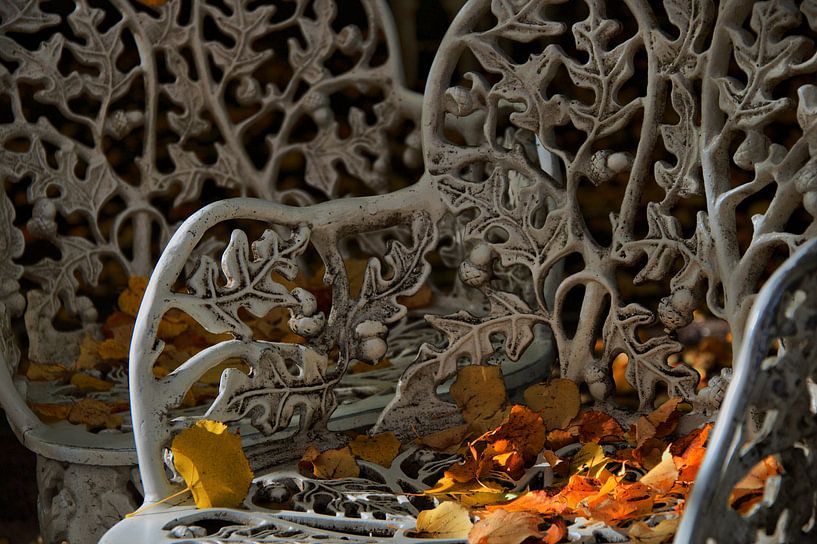Indian Summer Romance van Tineke Visscher