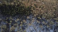 Drone-beeld van een dooiend boslandschap van Adrian Meixner thumbnail
