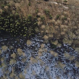 Image de drone d'un paysage forestier en cours de dégel sur Adrian Meixner