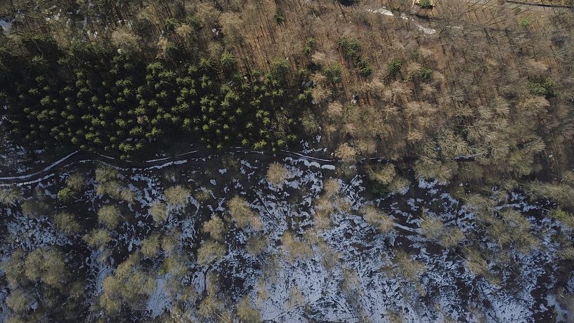 Drone-beeld van een dooiend boslandschap van Adrian Meixner