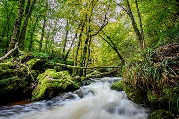 Gorges de la Canche Morvan Frankrijk 3 van Mario Brussé Fotografie