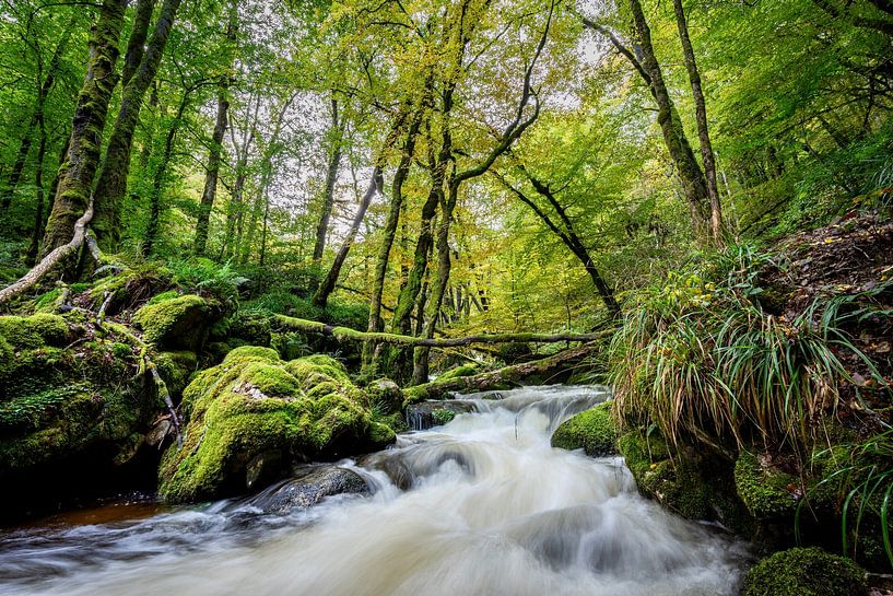 Gorges de la Canche Morvan Frankrijk 3 van Mario Brussé Fotografie