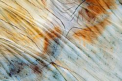 Houtoppervlak abstract