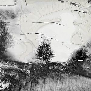 paysage en voie de destruction #03