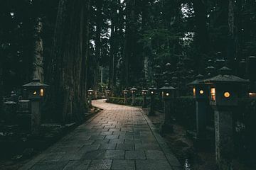 Mysteriöser beleuchteter Pfad in japanischen Wäldern von Nikkie den Dekker | Reise- und Lifestyle-Fotograf