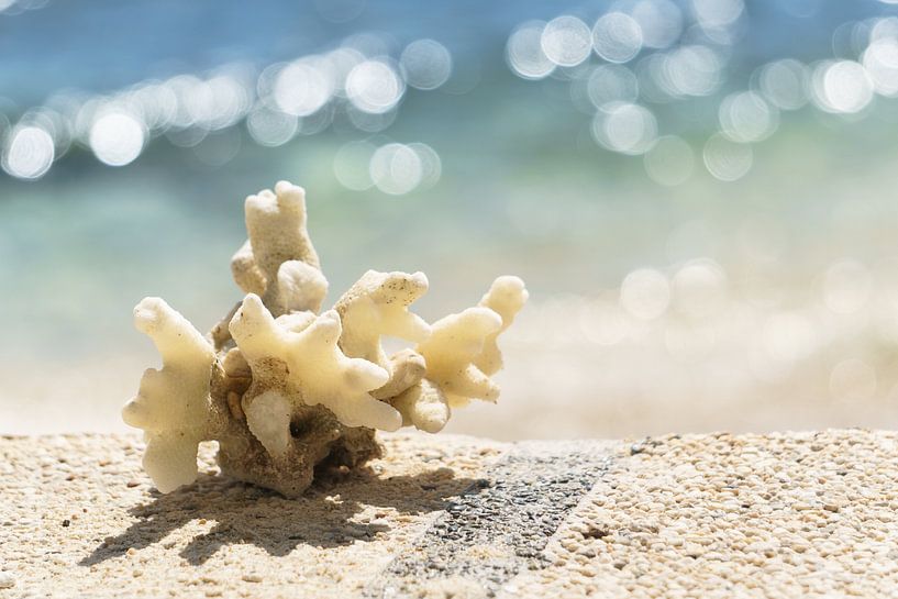 La vie sur la plage par Ubo Pakes