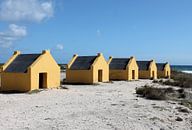 Slavenhuisjes op Bonaire van Brenda Verboekend thumbnail