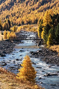 Goldener Oktober in der Schweiz