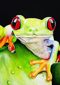 Frog Drawing by J.colordrawingz_