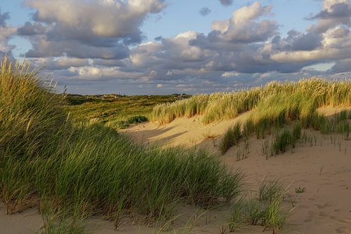 Zicht op Noordwijk binnen