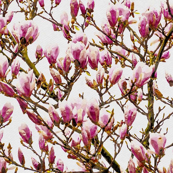 Magnolia 2020 von Andreas Wemmje