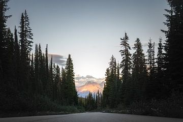 Laatste zonlicht in de Rocky Mountains | reisfotografie Canada | Revelstoke | Fotobehang van Laura Dijkslag