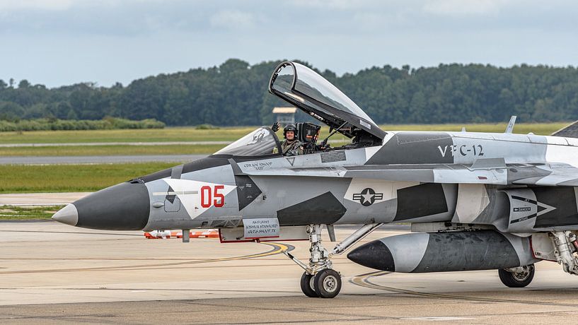 U.S. Navy McDonnell Douglas F/A-18A Legacy Hornet. von Jaap van den Berg