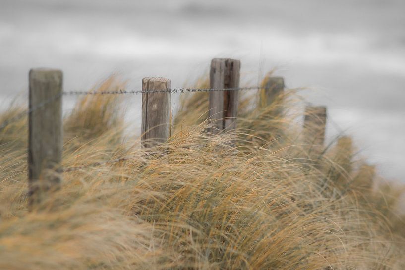 Strandleven! by Dirk van Egmond