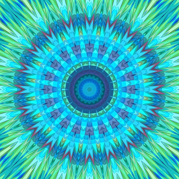 Mandala type 17 van Marion Tenbergen