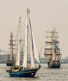 Trio von Großseglern von Harrie Muis