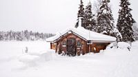 Lapland, Finland by Frank Peters thumbnail