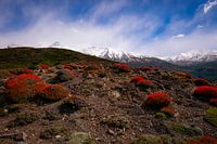 Landscape of Torres del Paine NP
