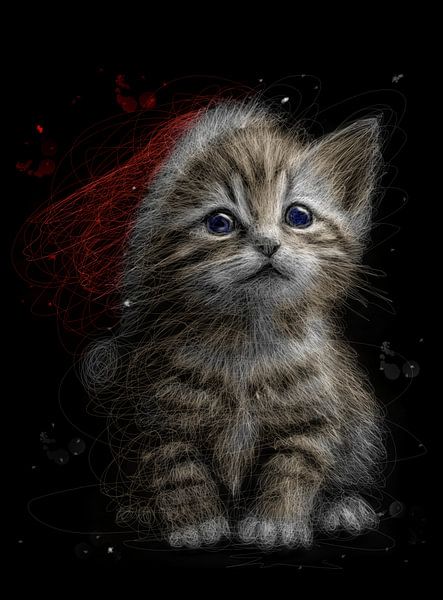 Santa hat cute cat by Denny Constantine