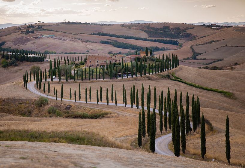 Collines de Toscane par Nicole Boekestijn
