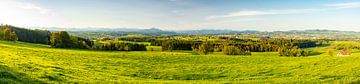 Vue sur l'Allgäu, les Alpes d'Allgäu et le Grünten sur Leo Schindzielorz