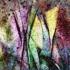 Kaperfahrt von Kay Weber