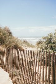 Sea Behind the Dunes by Patrycja Polechonska