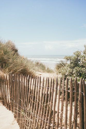 Sea Behind the Dunes