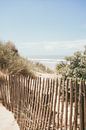 Sea Behind the Dunes by Patrycja Polechonska thumbnail