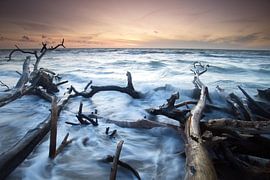 Criss-cross by Marko Sarcevic