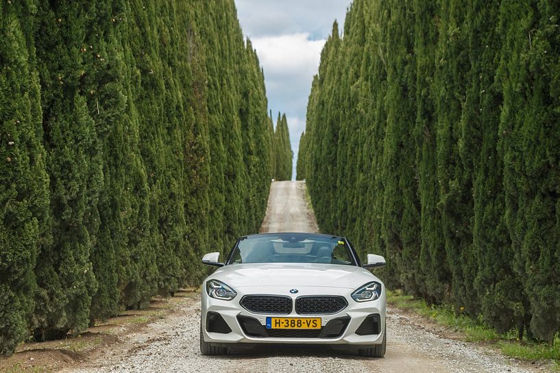 BMW Z4 van Menno Schaefer