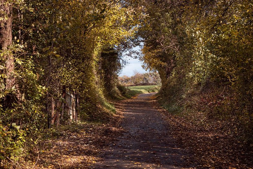 Dikkebuiksweg by Rob Boon