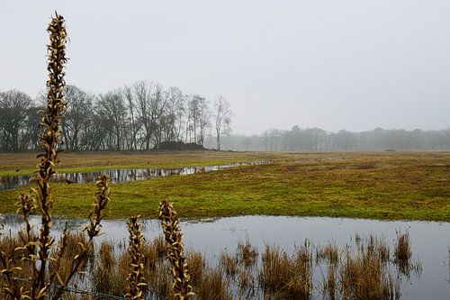 Wachten tot de zomer terugkeert