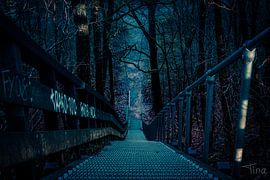 From top to bottom by Tina Linssen