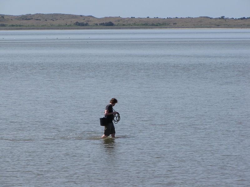 Searching von Nan van Elburg