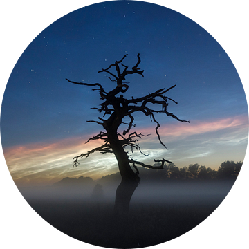 Dansend in het donker