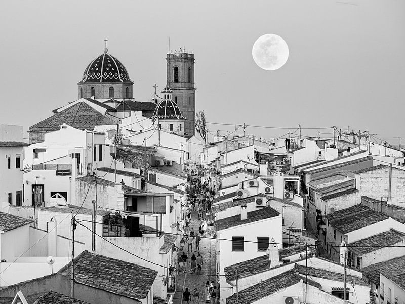 Altea van Jellie van Althuis