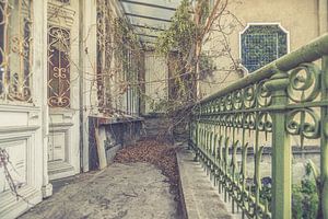 La nature reprend ses droits...