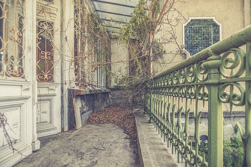 Nature takes over...